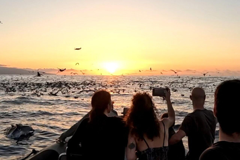 São Miguel: Sunset Boat Tour – Golden Light, Cliffs & Caves