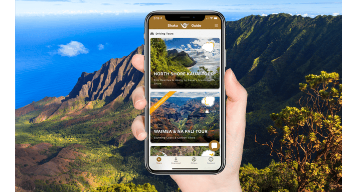 kauai selfdrive sightseeing road trip
