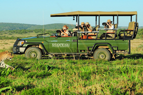 3 days: Safari in Kruger National Park, Mpumalanga, and City Tour in Maputo 3 days: Safari in Kruger National Park, Mpumalanga, and city tour in Maputo