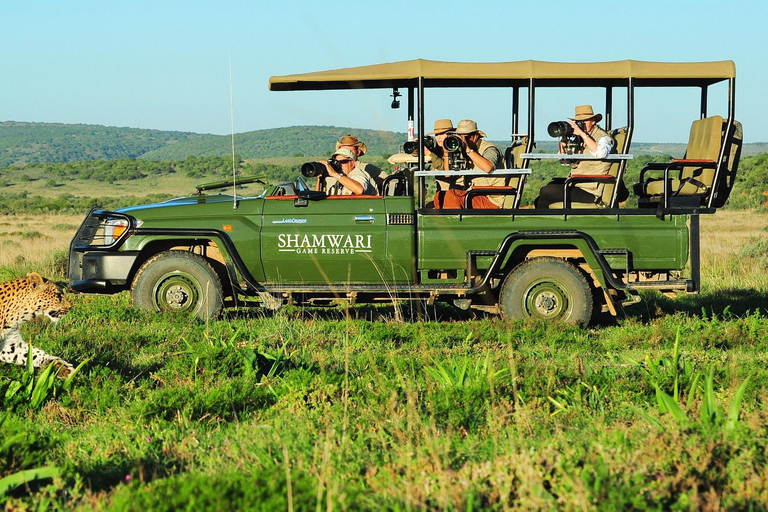 3 days: Safari in Kruger National Park, Mpumalanga, and City Tour in Maputo 3 days: Safari in Kruger National Park, Mpumalanga, and city tour in Maputo