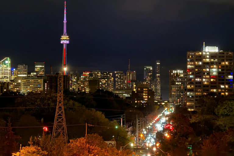Toronto: Private 4-Hour Sightseeing Tour with Guide