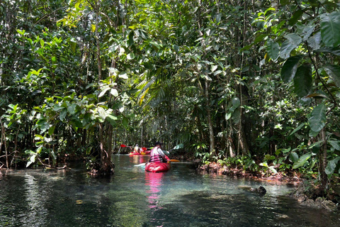 Klong Rud kajakken met hotel transfer