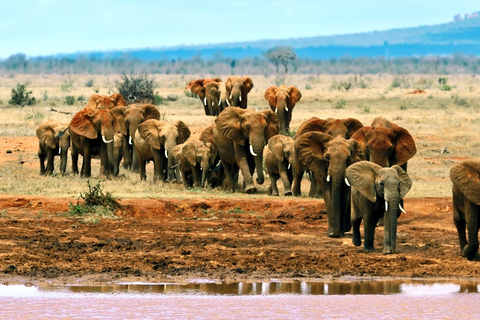 3 dagen en 2 nachten Safari naar Tsavo East vanuit Mombasa/Nairobi3 DAGEN, 2 NACHTEN SAFARI NAAR TSAVO EAST NATIONAAL PARK VAN MAL