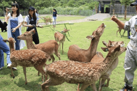 تايوان: جولة جزيرة خاصة لمدة 10 أيام مع فنادق 5 نجوم