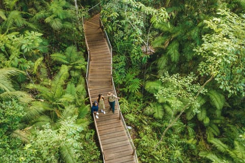 Cairns: 3-Day Daintree, Cape Tribulation & Port Douglas Tour - Image 2