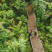 Cairns: 3-Day Daintree, Cape Tribulation & Port Douglas Tour