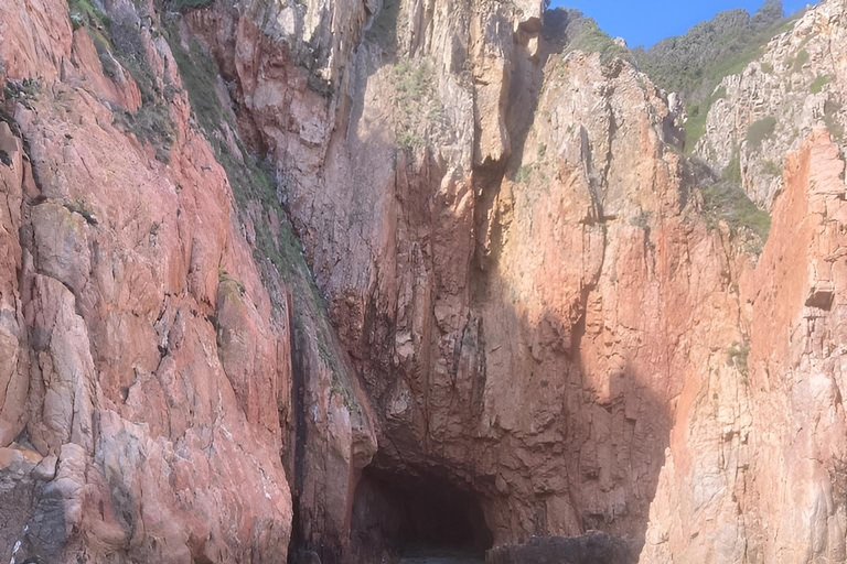 Ajaccio: Excursion, Sailing Scandola Nature Reserve