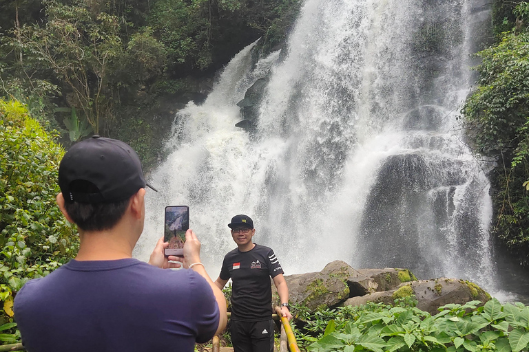 Beeindruckende Reisfeldterrassen in Ban Pa Pong Pieng. (Privat)