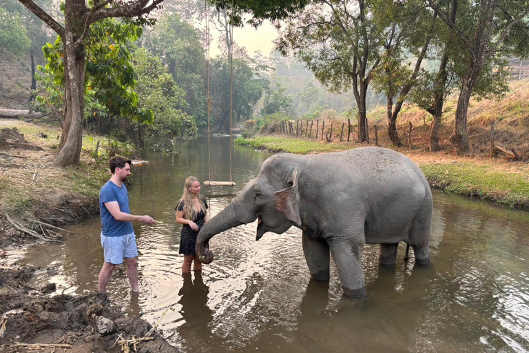 Chiang Mai 2-Day: Good Morning Elephant & Overnight Homestay