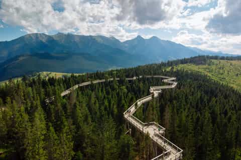 Slovacchia: passeggiata sulle cime degli alberi da Cracovia