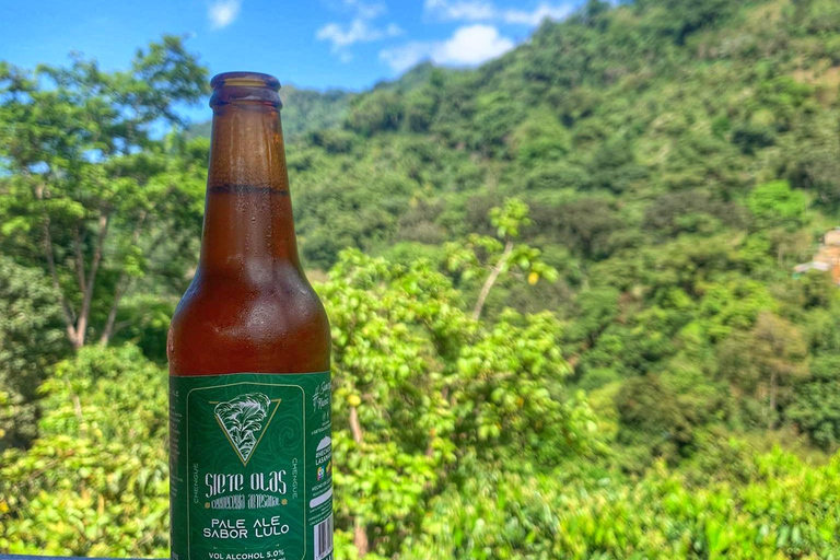 From Santa Marta: Minca and Coffee and Cacao Tour with Lunch Minca Magic and exotic Coffee and Cacao Tour