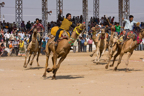 Visit Pushkar from Jaipur with Jodhpur drop without Guide