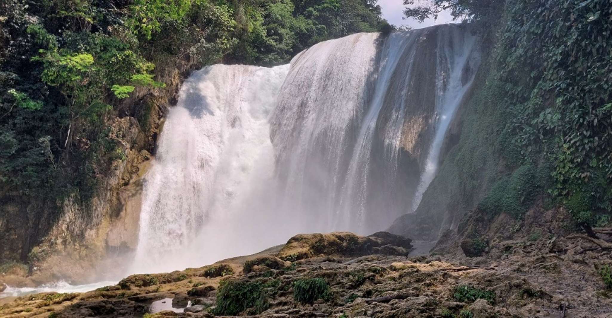 From Palenque, Roberto Barrios and El Salto Waterfalls Tour - Housity