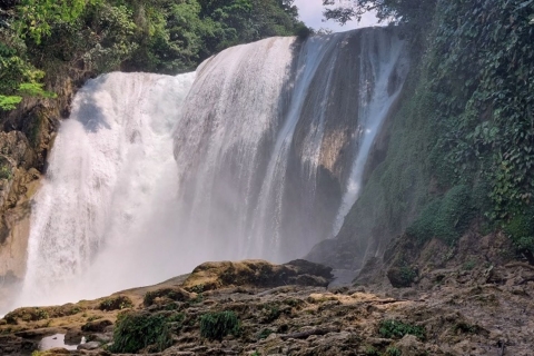 Depuis Palenque : Roberto Barrios et les chutes d'eau d'El Salto