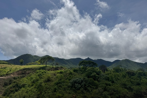 Addis Abeba: 8-tägige Kaffee-Tour mit Mahlzeiten und Transfers