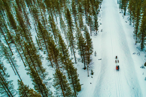 Rovaniemi: 1-Hour Self-Drive Husky Sledding Experience Solo Drive (1 person on sled)