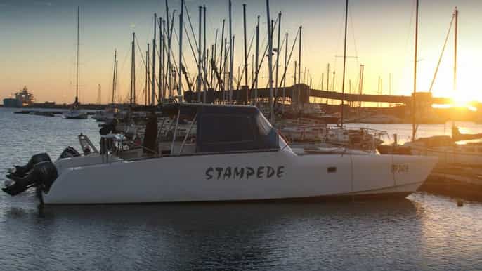 port elizabeth cruzeiro de catamarã à beiramar com lanches