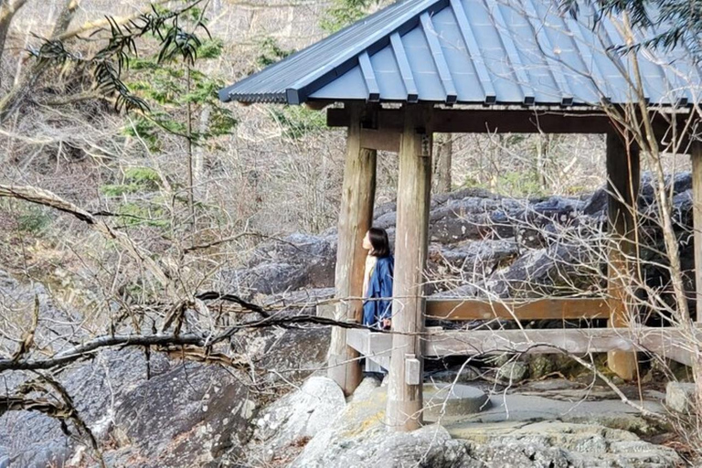 Von Tokio aus: Nikko Tagestour mit Toshogu-Schrein und Wasserfall