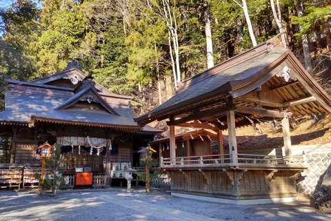 Fuji en Kawaguchimeer: sightseeingbustour van 1 dagTrip met trefpunt Shinagawa