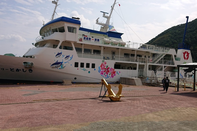 Naha: Tagesausflug zur Insel Tokashiki mit Mittagessen