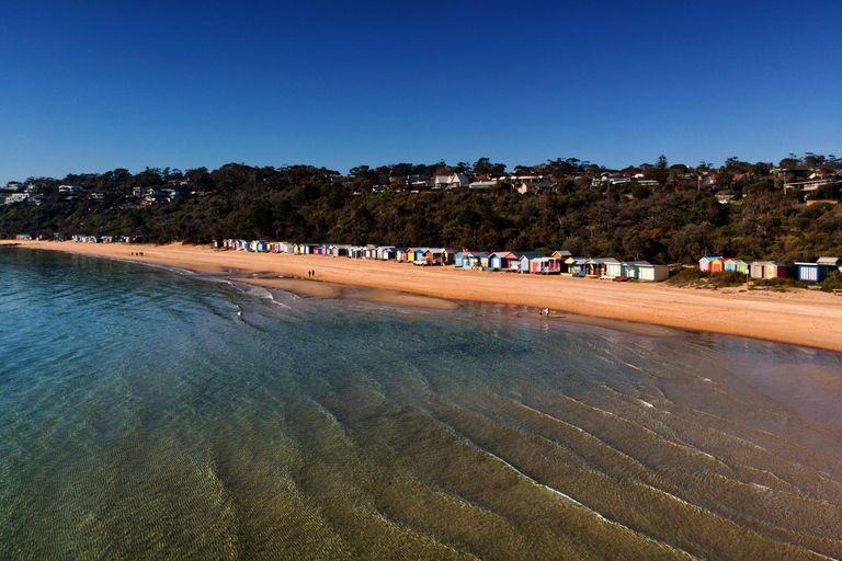 Mornington Peninsula: SUP, vandring och varma källor med lunchMornington Peninsula: SUP, vandring och Hot Springs-resa med lunch