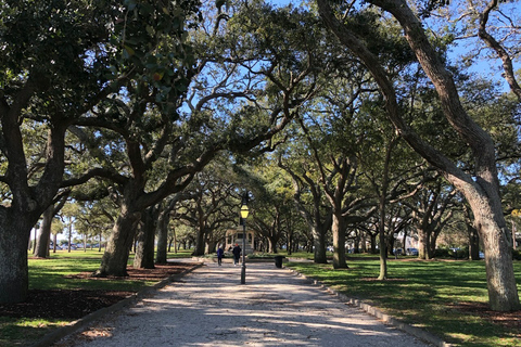 Charleston: visite à pied de l'histoire et des bars