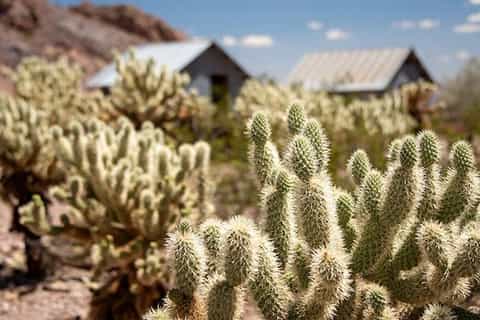 Eldorado Canyon 4x4 Tour from Las Vegas