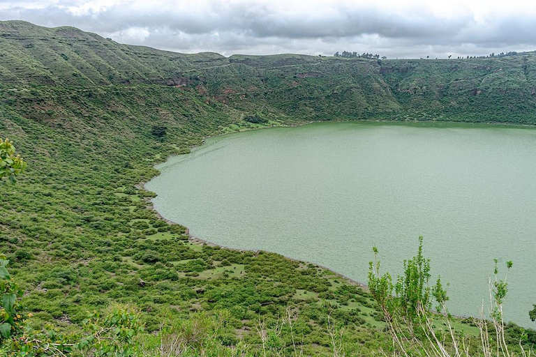 Addis Ababa: Debrezeit Day Trip with Lakefront Lunch