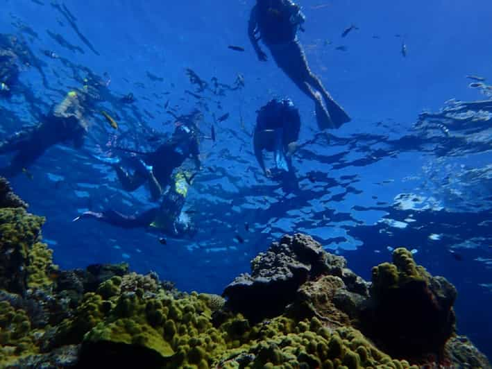 From Naha Full Day Snorkeling Tour To Kerama Getyourguide