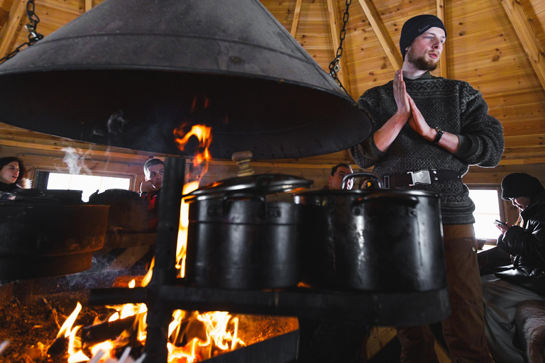 Tromsø: Husky Sledding Adventure with Soup & Transfers