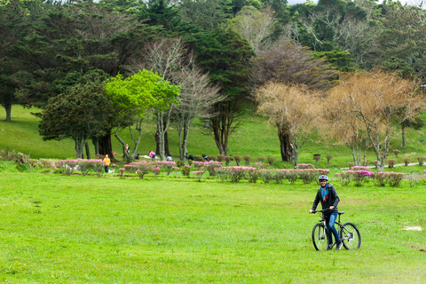 Sete Cidades: Kajak- und FahrradabenteuerSelbstgeführte Tour mit Meeting Point