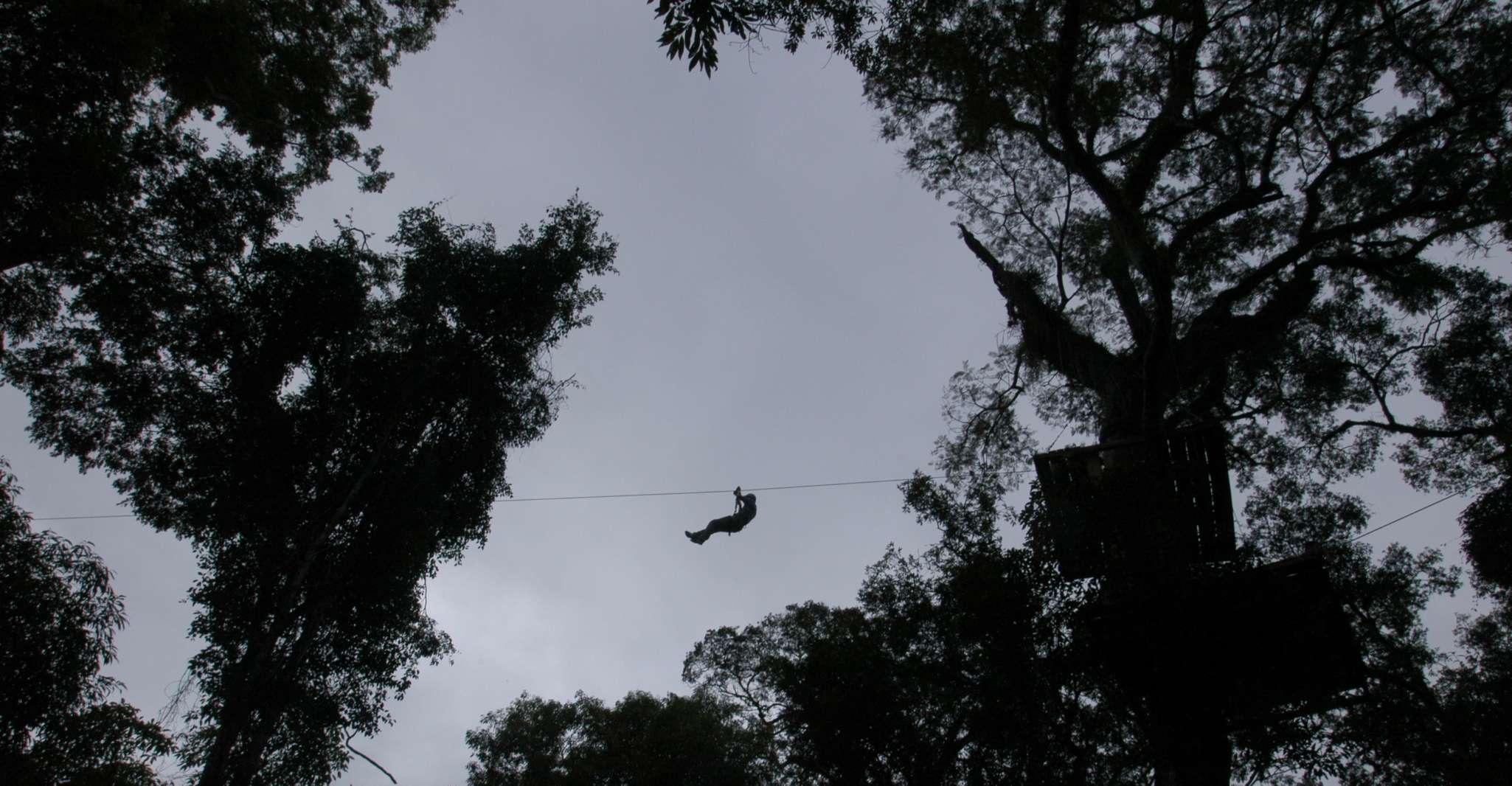 Une demi-journée d'aventure dans la forêt d'Iguazú - Hizvo