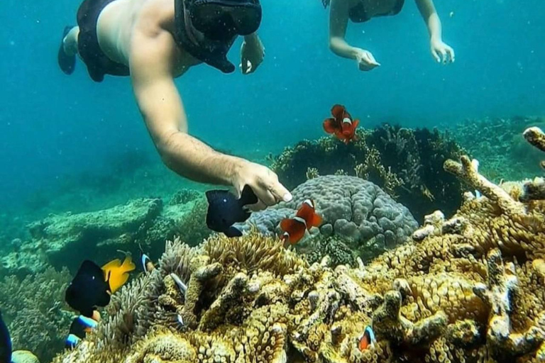 Lombok : Snorkeling Tour Secret Gili, Nanggu, Kedis, Sudak