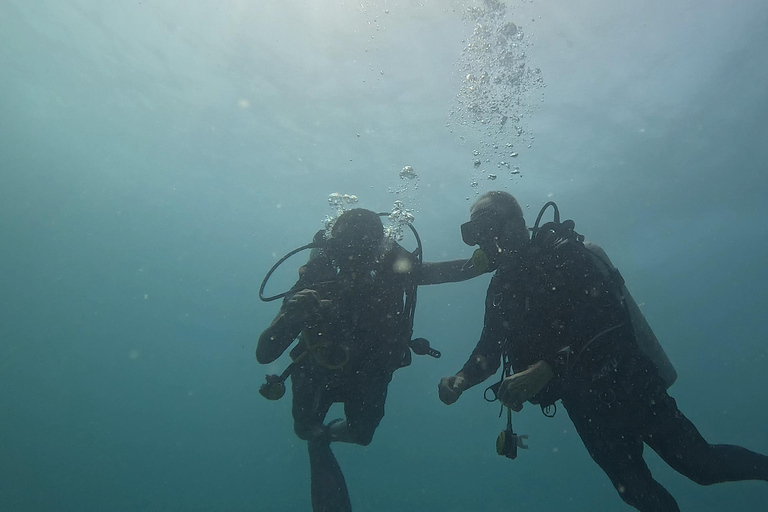 DAR ES SALAAM: CERTIFIED SCUBA DIVERS FUN TRIP