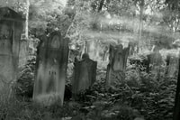 Philadelphia, True Crime, Friedhof und Geschichtsreise - Hizvo