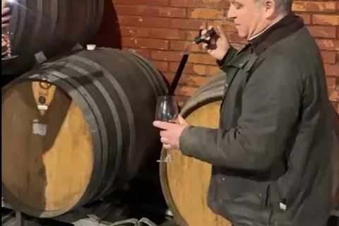 From Santiago: Casa Fevre Tour with Wine Tasting