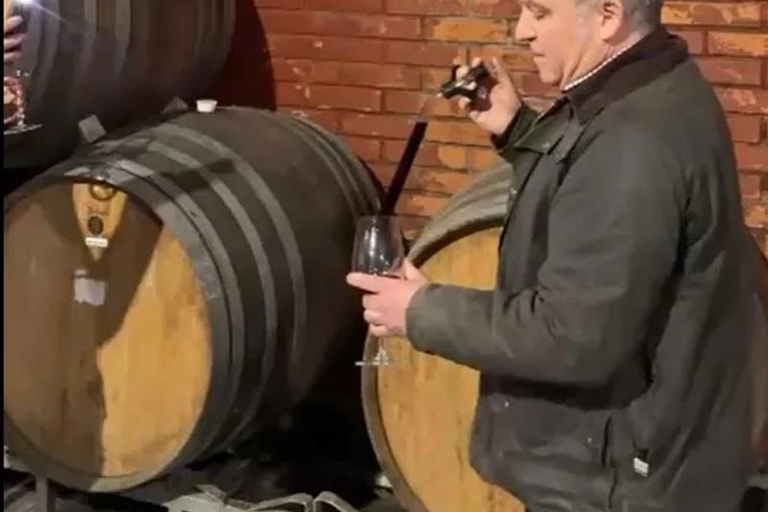 From Santiago: Casa Fevre Tour with Wine Tasting