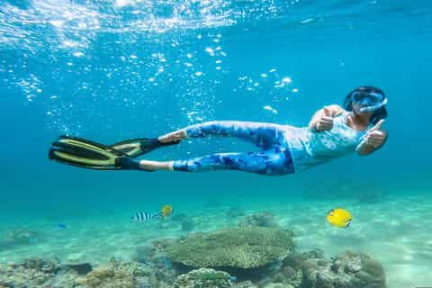 Sharm Al-Sheikh: Full-Day Snorkel, Safari and City Tour