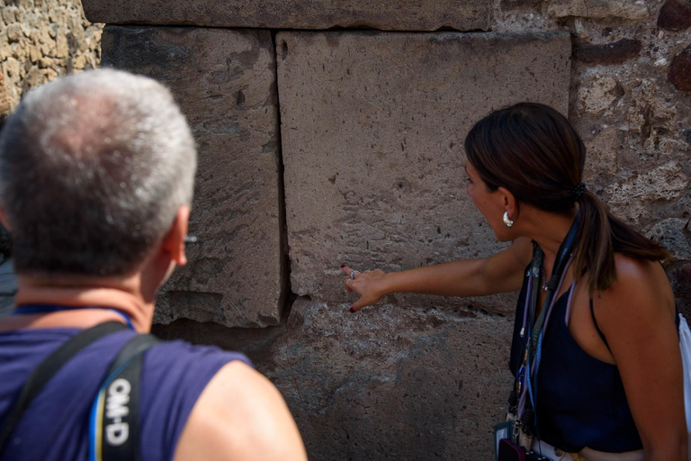 Naples: Herculaneum Skip-the-Line Guided Tour and Transfer