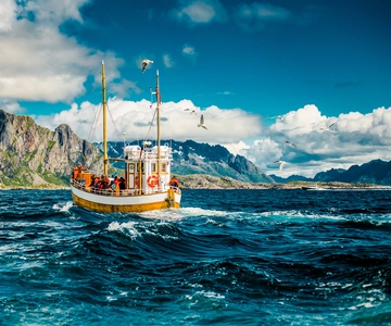 Lofoten: Traditional Fishing Trip