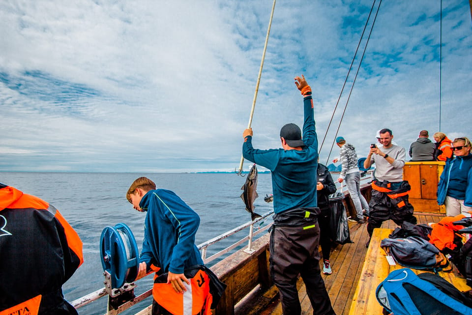 Lofoten: Traditional Fishing Trip | GetYourGuide