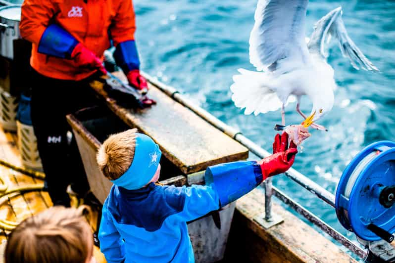 lofoten fishing trip