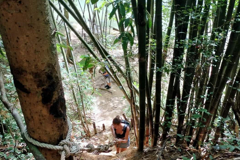 Khao Sok: Half-Day & Night Wildlife Trek and Jungle Dinner Option 6: Half-Day & Night Trek with Dinner From Khao Lak