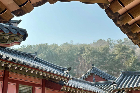 Private Suwon Tour from Seoul with 3 Attraction Options A - Private Suwon Hwaseong & Starfiled Tour from Seoul