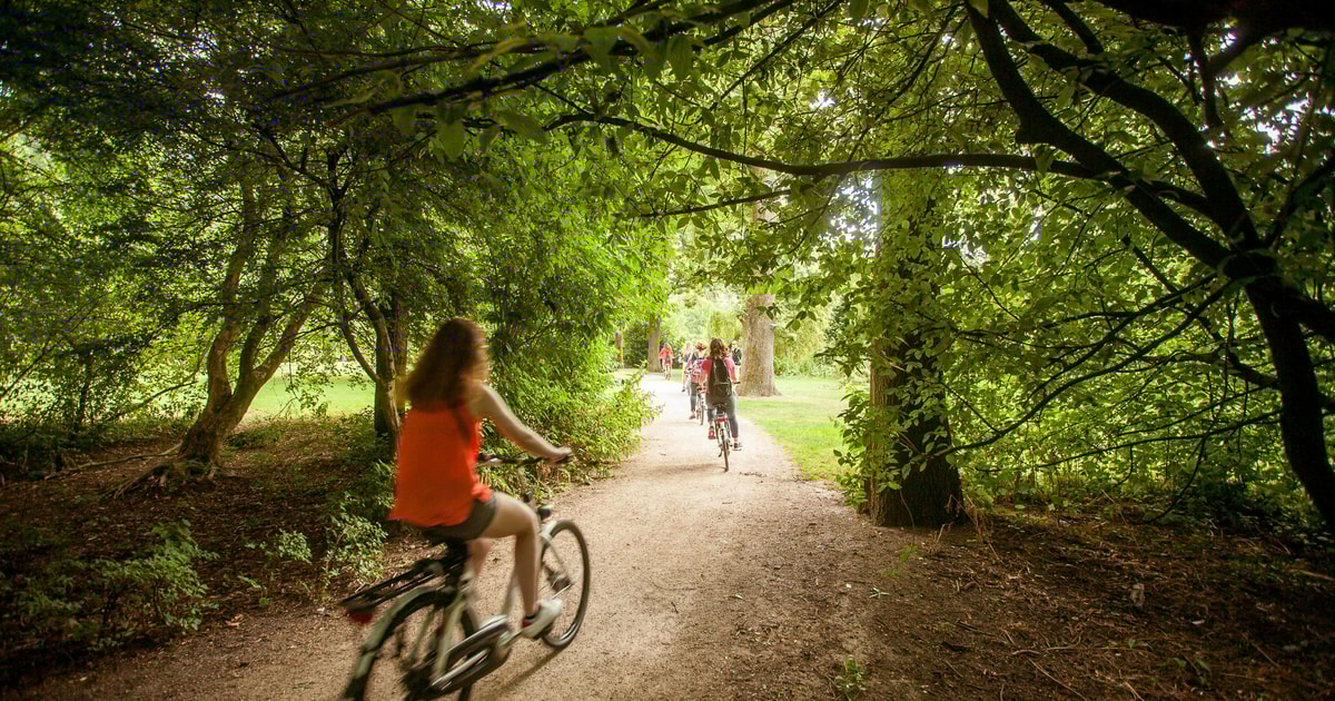 Amsterdam Dutch Countryside Bike Tour GetYourGuide