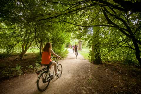 Amsterdam: Dutch Countryside Bike Tour