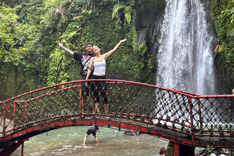 Ubud: Private Half-Day Tour Rice Terrace, Temple & Waterfall Private Ubud Half-Day Tour (Without Entrance Ticket)