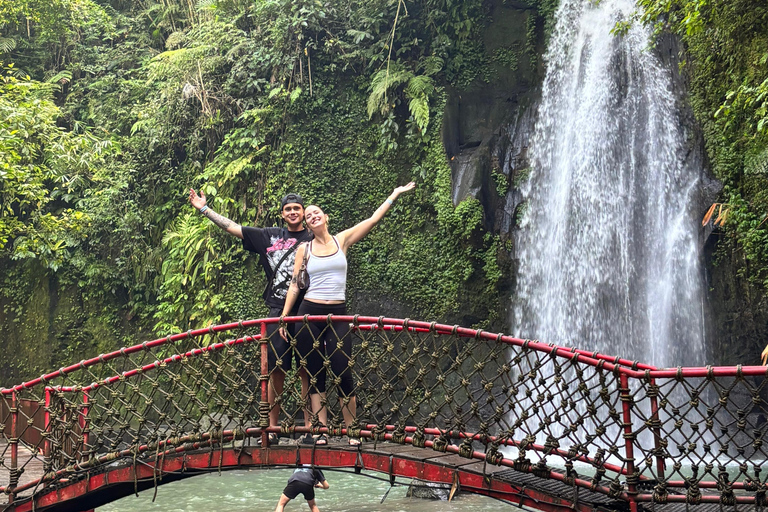 Ubud: Private Half-Day Tour Rice Terrace, Temple & Waterfall Private Ubud Half-Day Tour (Without Entrance Ticket)