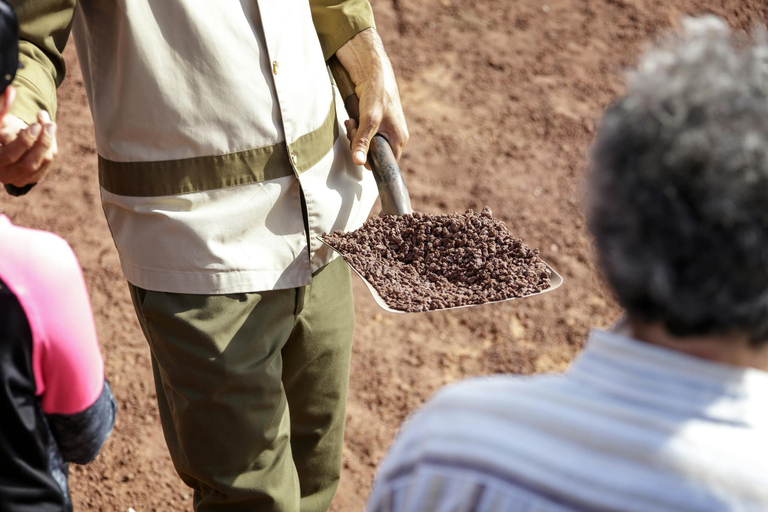蒂曼法亚国家公园之旅（含烧烤晚餐）