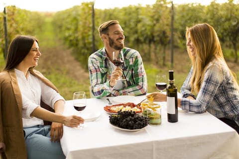 Dealu Mare Wineries: Wine Tasting Tour on the Old Wine Road